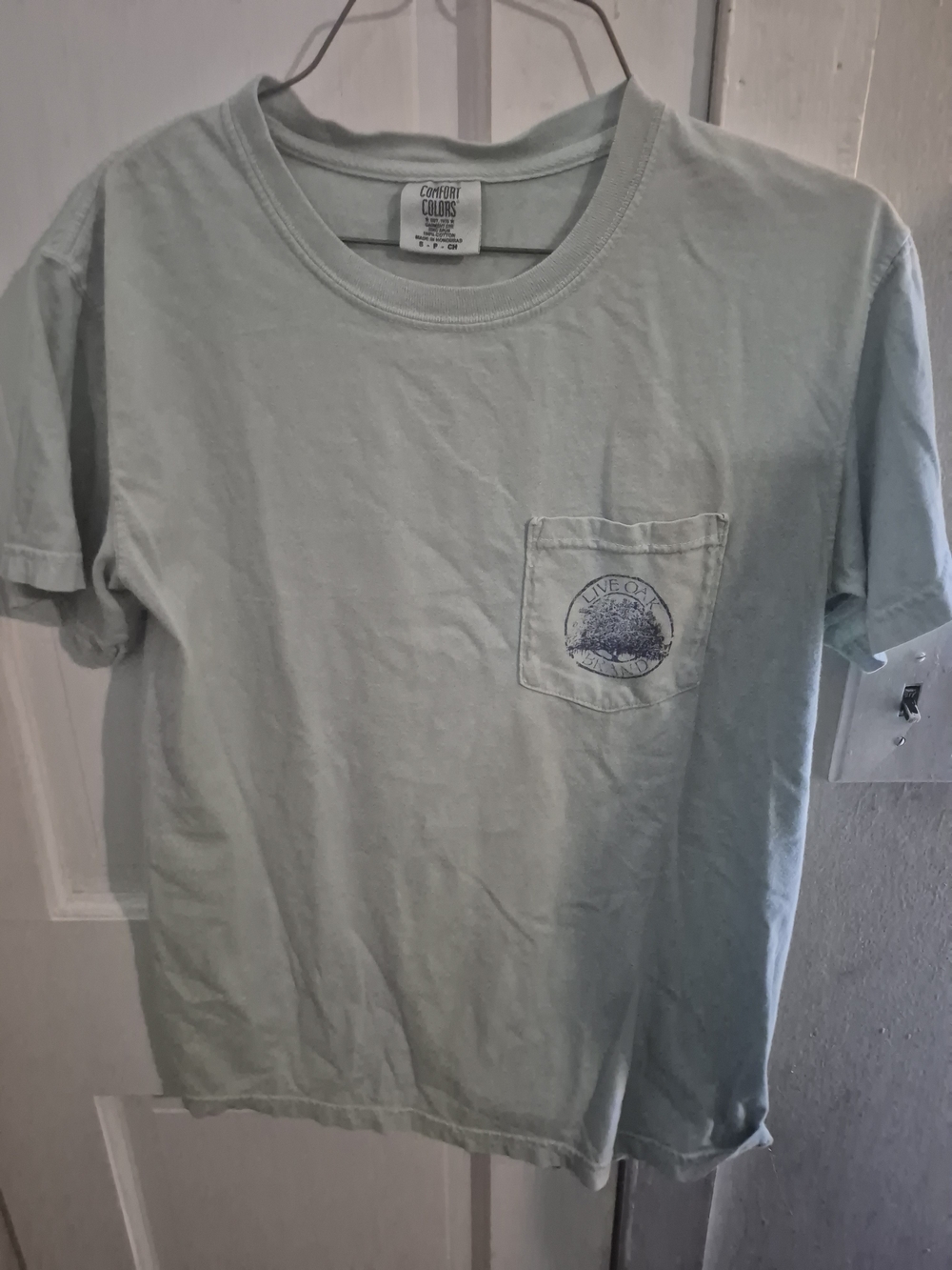 Comfort Colors Men's Mint Green Pocket Tee with Blue Chest Graphic